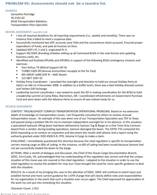 Writing Your NSPS Self-Assessment eBook - Image 4