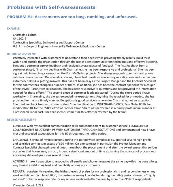 Writing Your NSPS Self-Assessment eBook - Image 3