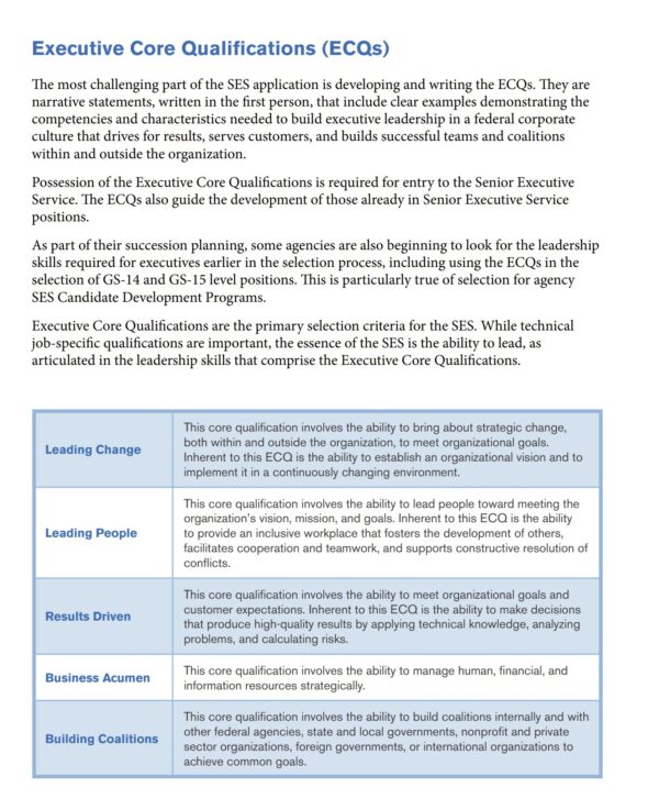 The New SES Application - Image 6