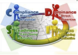 Disc Assessment